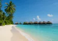 Maldív-szigetek : tippek, utazás és a Sun Island Resort