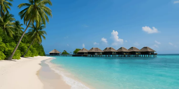 Maldív-szigetek : tippek, utazás és a Sun Island Resort