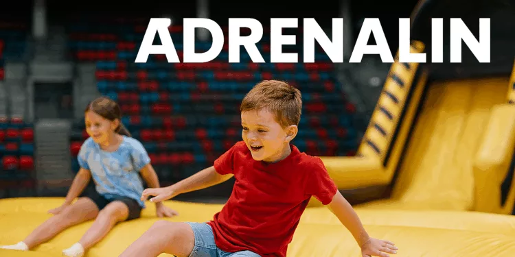 Extreme Park Budapest – Élmény és adrenalin a Dózsa György úti BOK Csarnokban