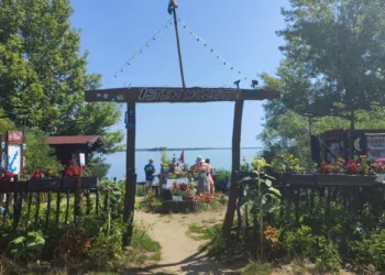 Jóreménység-sziget a Tisza-tónál: Egy hely, ami feltölt és inspirál! Természet, nyugalom és közösségi élmény!