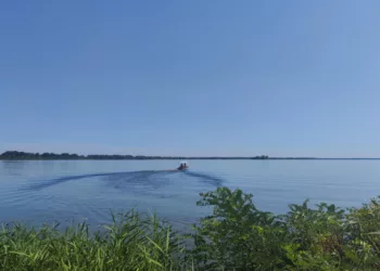 Tisza-tó horgászat – Élmények, szezonális tanácsok és a tó legfogósabb részei