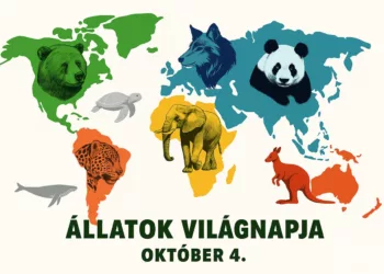 Állatok Világnapja 2025. október 4. - így készülnek az állatkertek és menhelyek Magyarországon