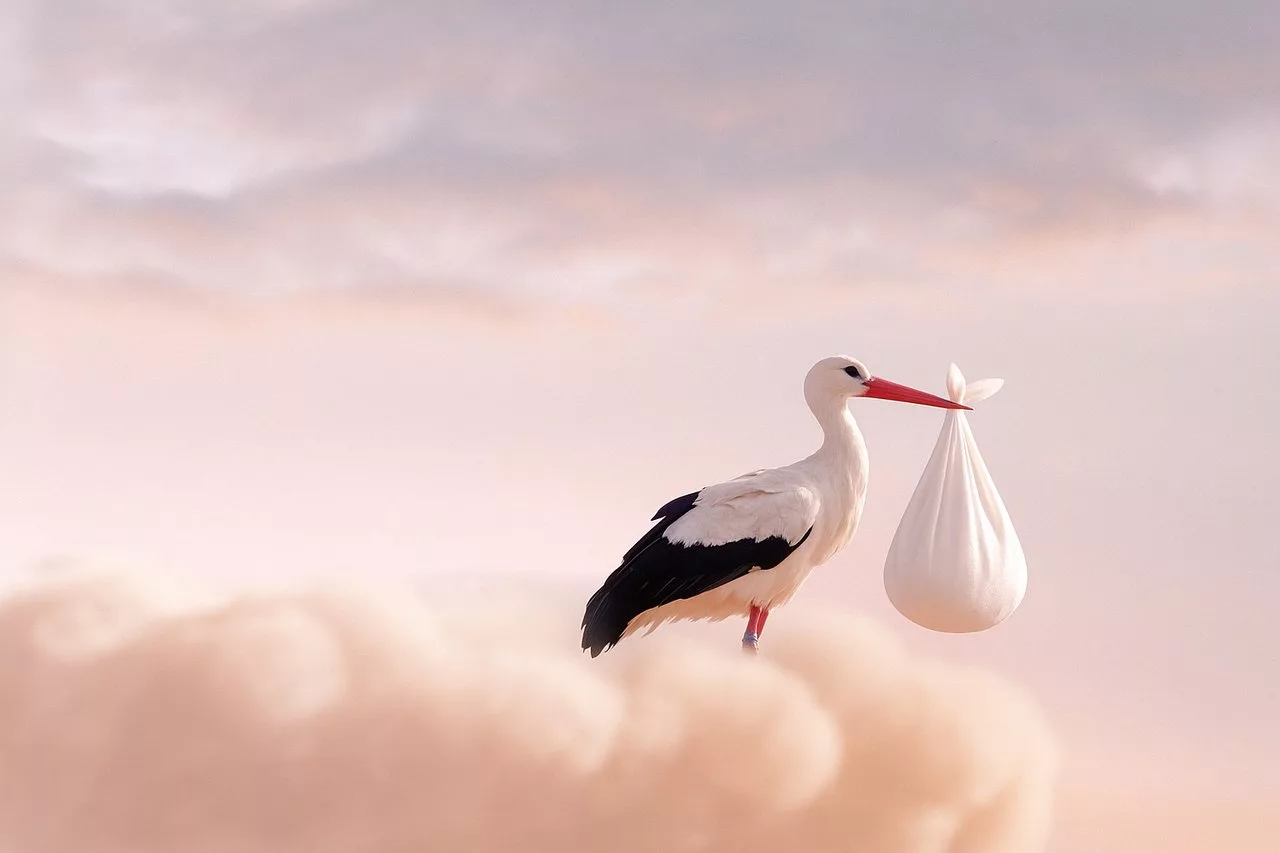 Gólyahír! Hosszú Katinka második gyermekével várandós – „Alig várjuk, hogy találkozzunk Veled” írja közösségi oldalán