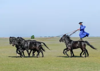 Hortobágy őszi csodái: daruvonulás, hagyományok és élmények