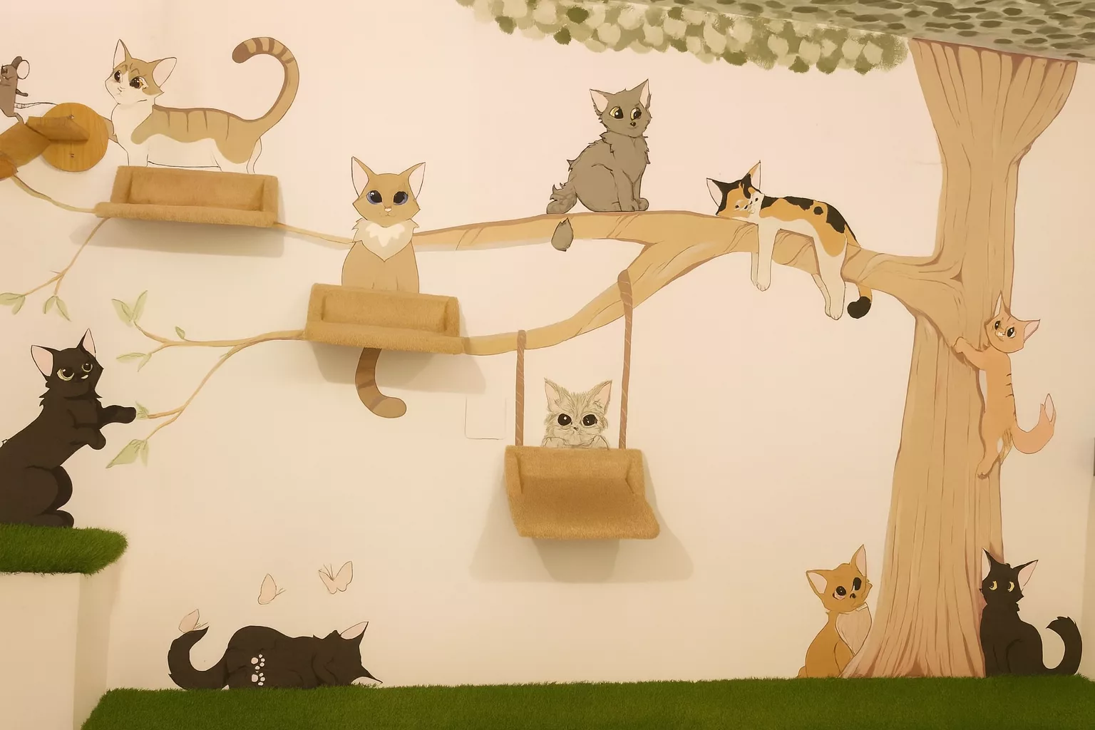 Macskások figyelem! Az egri Cicuskám Cat Café-ban jártunk – így hódítanak a cica kávézók Magyarországon és a világban