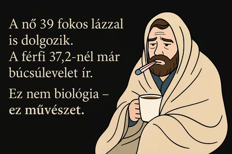 Férfinátha humorral – avagy a férfi, aki túlélte a megfázást | Vicces magazincikk a férfi betegségek világáról