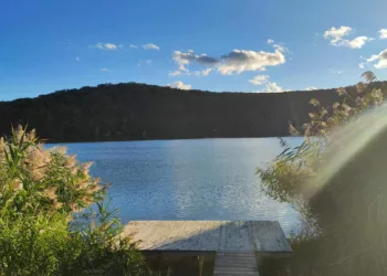 Harsányi horgásztó – ahol a nagyhalas álmok valóra válnak