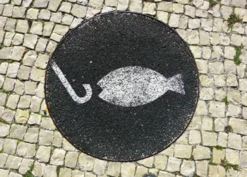 Horgászengedély Magyarországon – Díjak, vizsga, online ügyintézés és szabályok