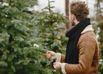 A karácsony örök dilemmája: természetes illat vagy örökzöld kényelem? Műfenyő vagy igazi fenyő? Így dönt a világ 2025-ben