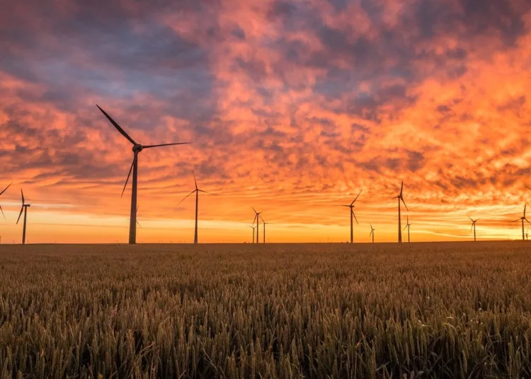 A megújuló energia új pillérei: hogyan válik stabil rendszerré a zöld átállás?