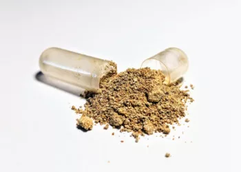 Ashwagandha: a stressz ellenszere vagy csak placebo? – Mit mond a tudomány?