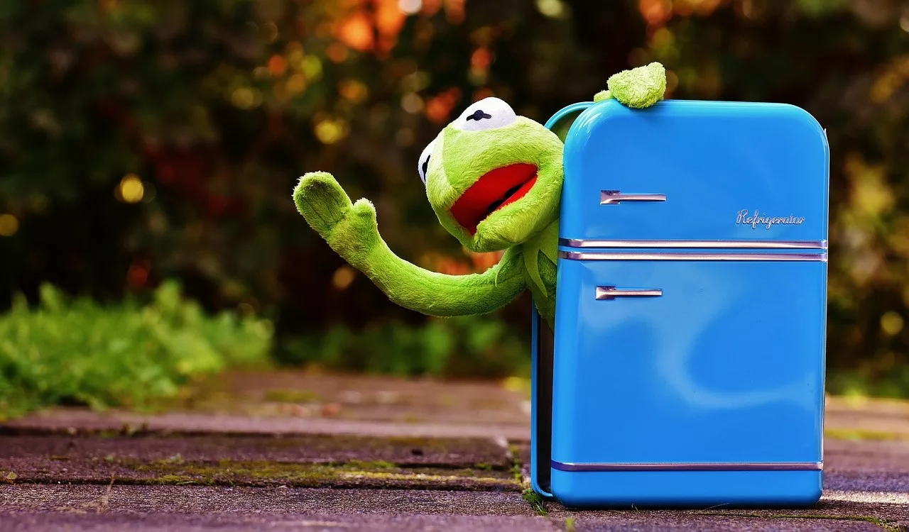 Mit ne fagyassz le soha? És melyek azok az ételek, amikről nem is gondolnád, hogy fagyaszthatók?