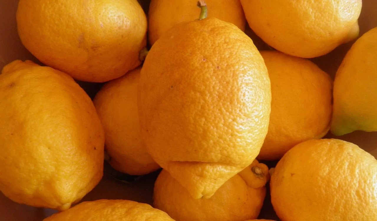 Hogyan tisztítsd meg helyesen a gyümölcsöket, és mit érdemes tudni a növényvédő szerekről