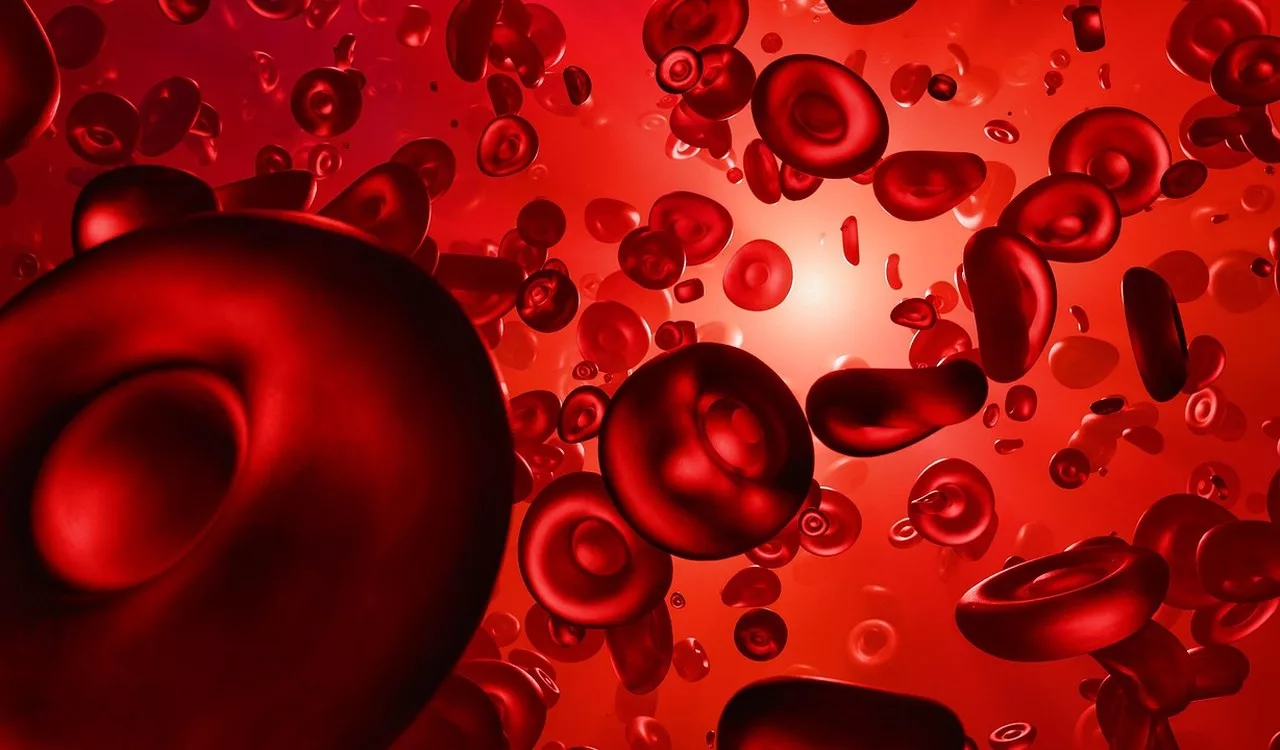 Terápiás plazmacsere és öregedésgátlás: valódi tudományos áttörés vagy túlértékelt luxuskezelés?